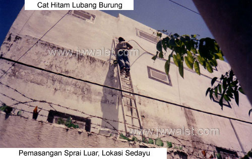 Spray luar yang sangat memikat burung masuk ke rumah walet, lokasi sedayu Spray luar yang sangat memikat burung masuk ke rumah walet, lokasi sedayu