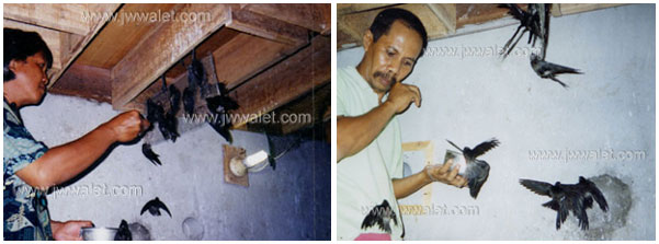 Beberapa testimonial dari para client JW Walet